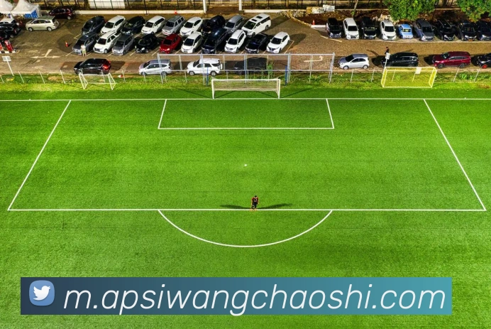 App 展示图